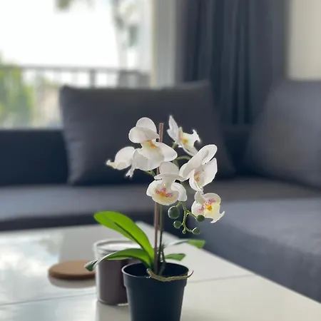 Na Wydmach Apartman *