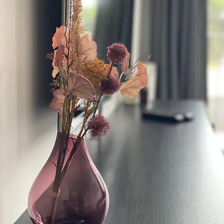 Na Wydmach Międzywodzie